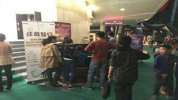 北京星海鋼琴集團有限公司
